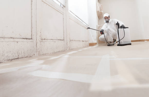 24/7 Emergency Attic Mold Remediation experts in Kingston, PA