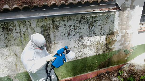 Top rated local Attic Mold Remediation specialists in Kingston, PA